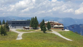 Гостиница Berggasthof Schatzbergalm, Тирбах
